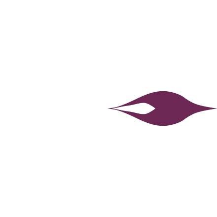 花びらイメージ