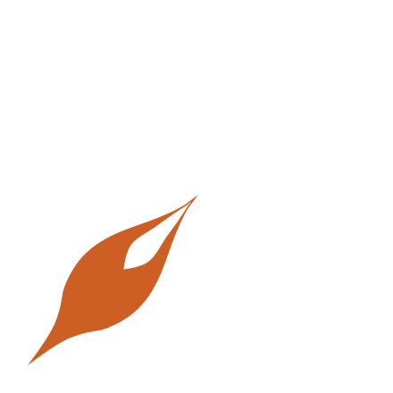 花びらイメージ