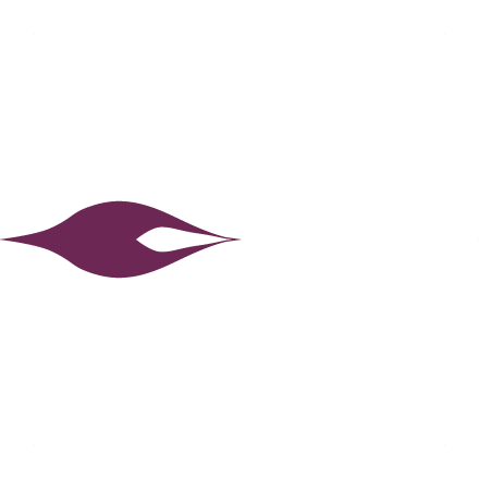 花びらイメージ